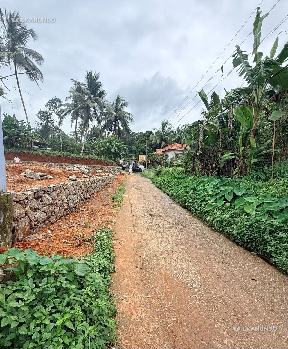 15 cent prime plot for sale - Omalloor,Pathanamthitta
