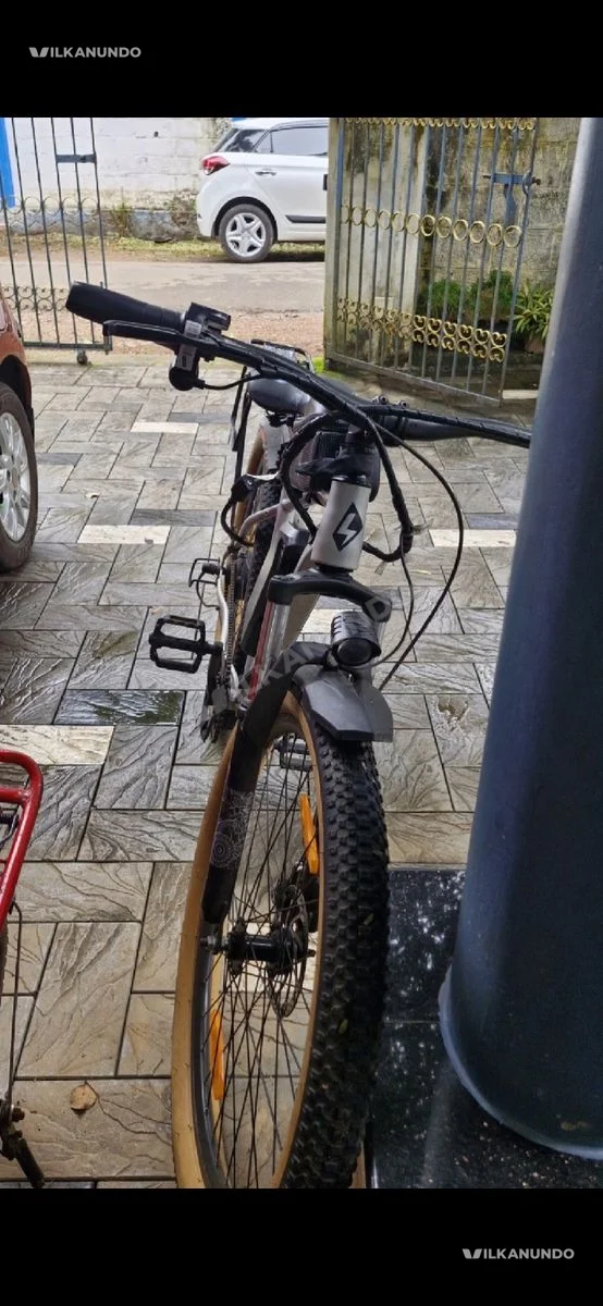 elecric cycle