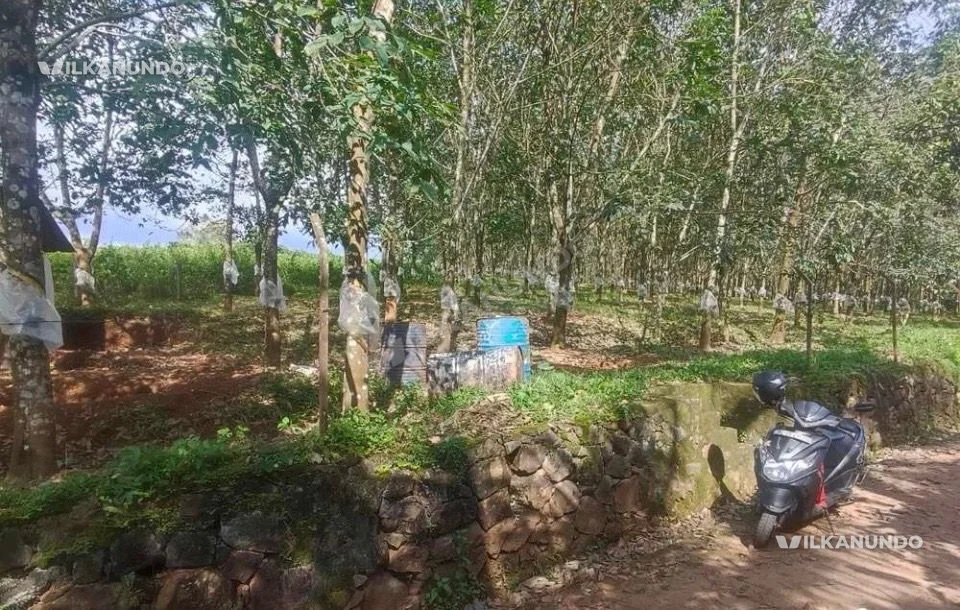 Pathapiriyam plot