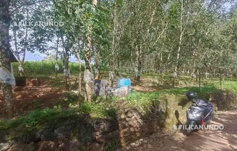 Pathapiriyam plot