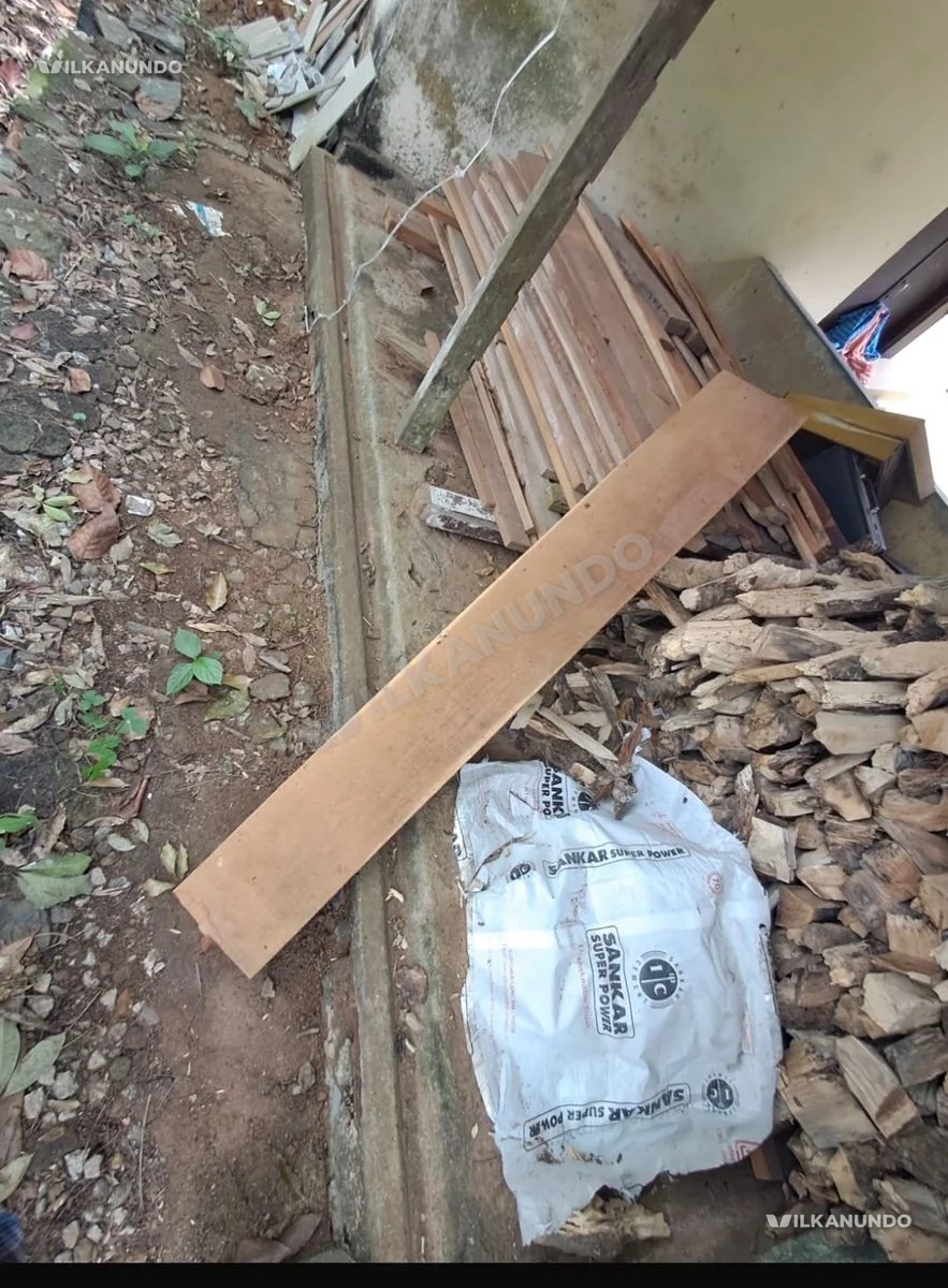 teak wood