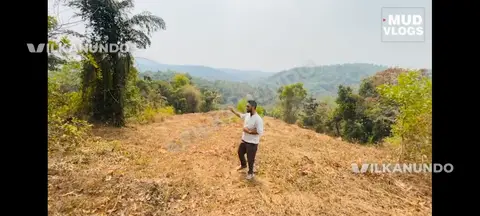 Arur.near Pulikkal,Malappuram