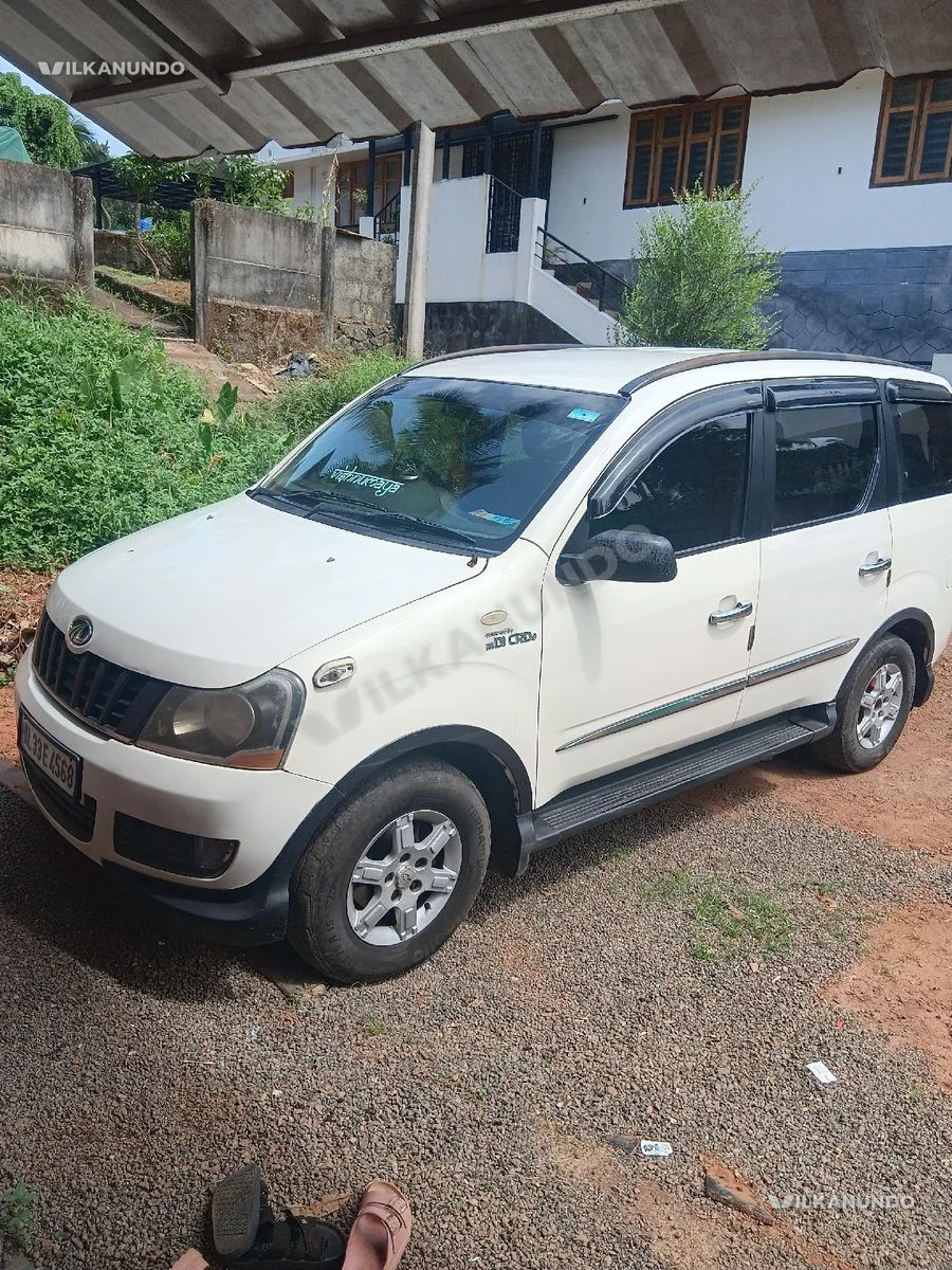 xylo D4