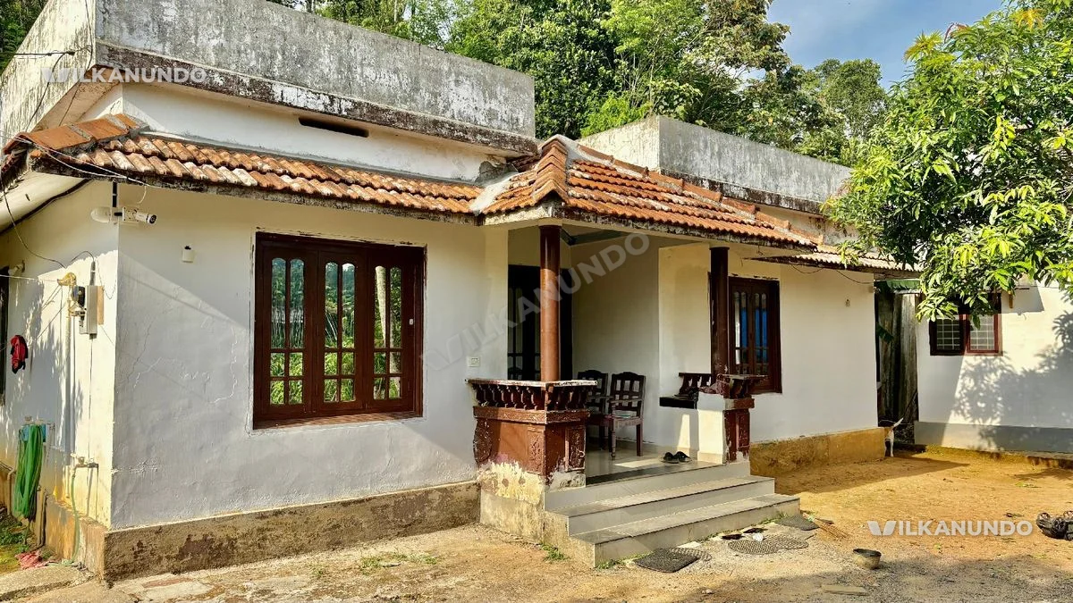 12.25 cent plot and 1365 square feet house for urgent sale at pachilakkad...