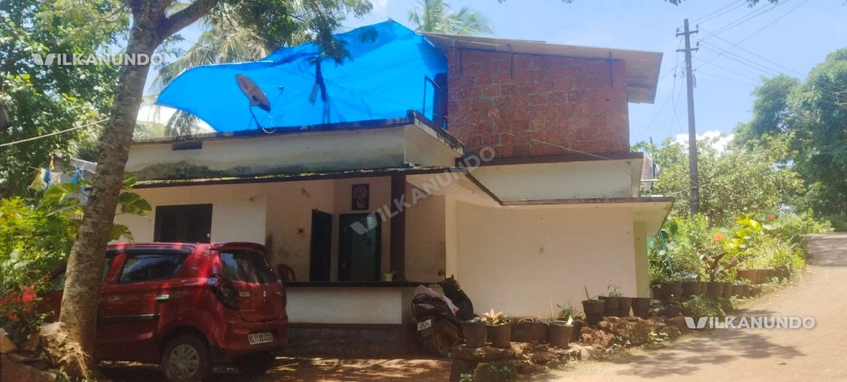SMALL HOUSE