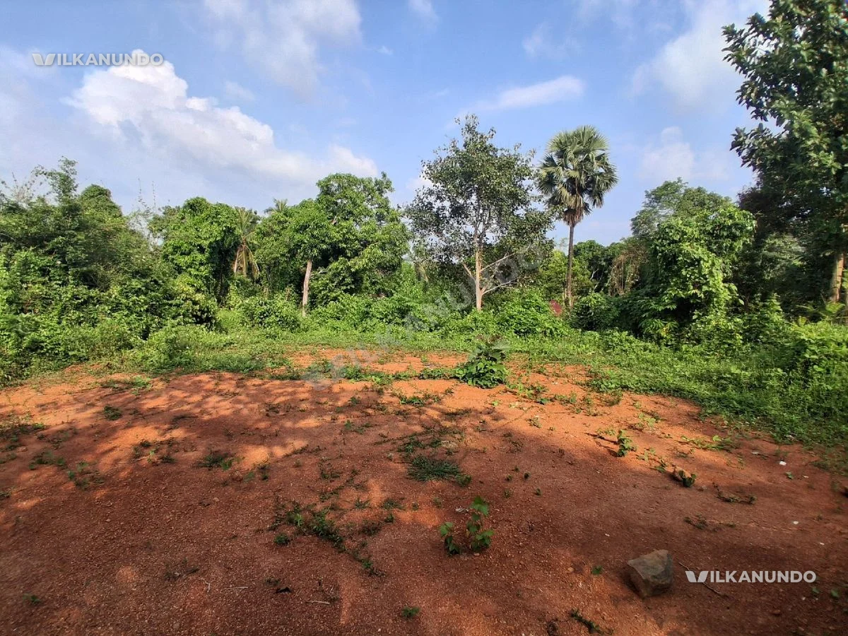 Land for sale