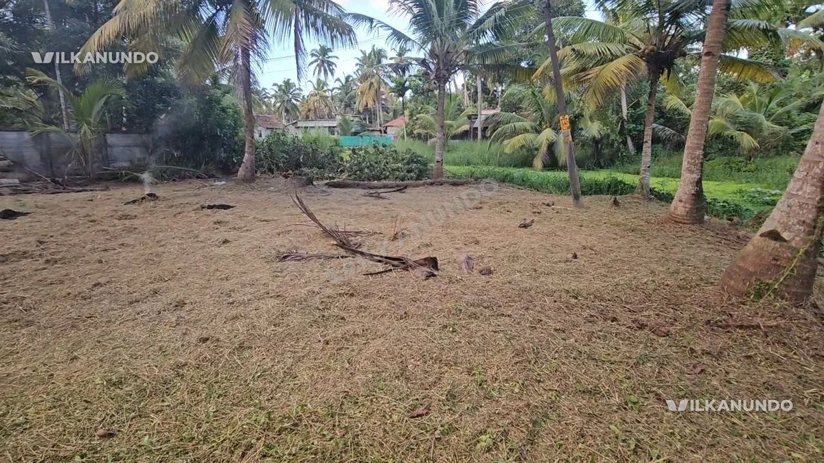 12 സെന്റ് വസ്തു വില്പനക്ക് പാനൂർ ടാങ്കമുക്കിന് കിഴക്ക് വശം 100അടിയുടെ ലോറി കേറുന്ന പോപാർട്ടി