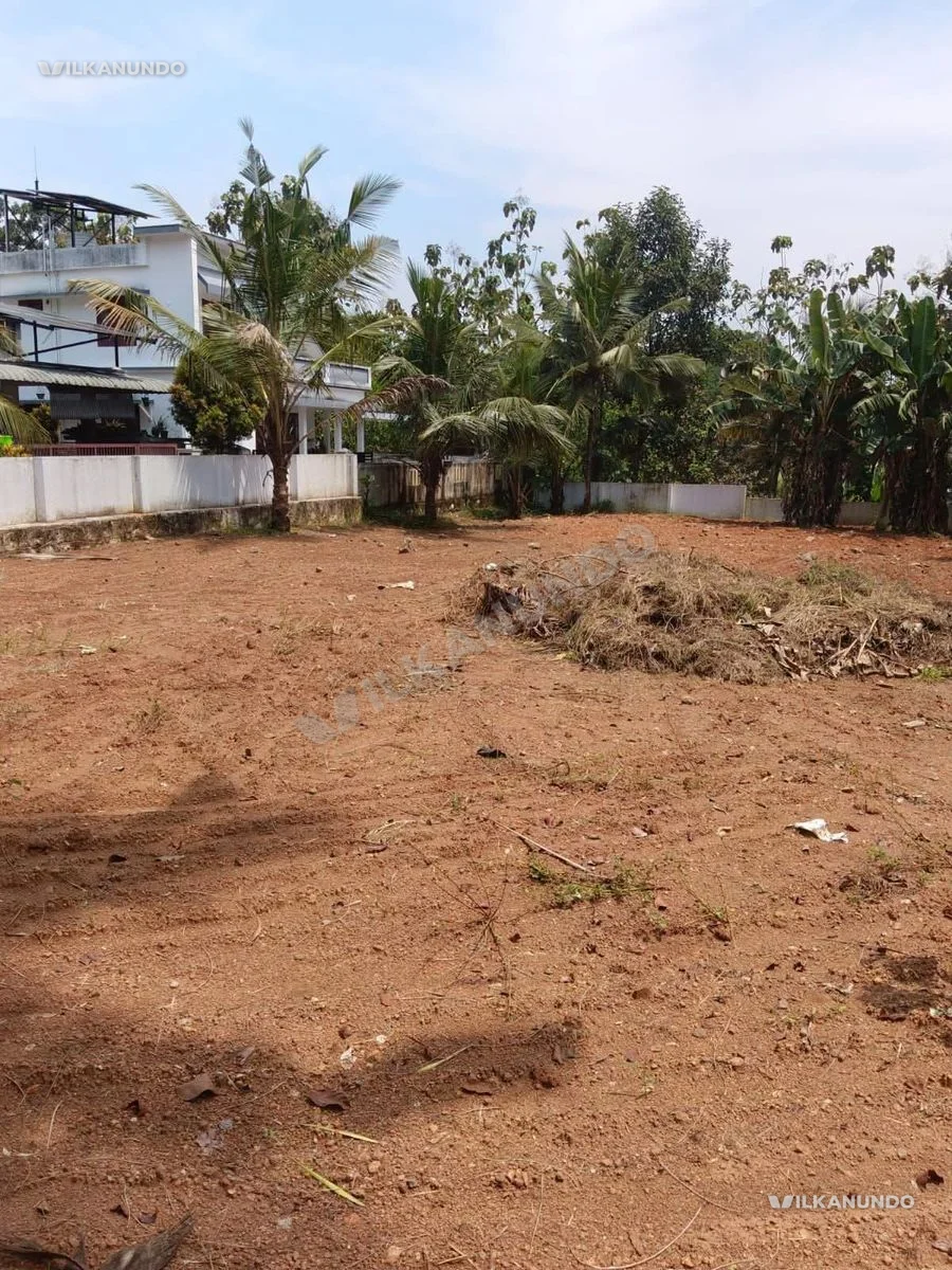 പത്തനംതിട്ട ജില്ല ആഞ്ഞിലിത്താനം ചിറയിൽക്കുളത്തിനു സമീപം തിരുവല്ല സ്ഥലംവിൽപ്പനയ്ക്ക്..22 സെന്റ്