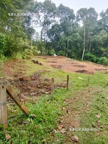 Kottayam - Nedumkunnam- Mulayamveil  പള്ളിക്ക് സമീപം എല്ലാ സൗകര്യങ്ങളോടും കൂടിയ 40 cent.