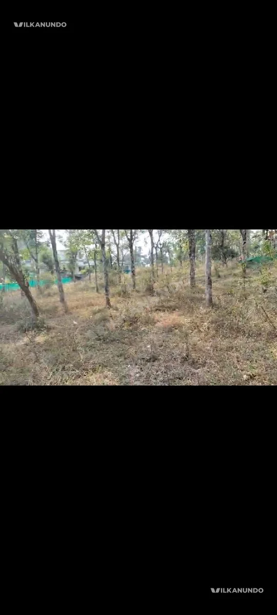 Land for sale