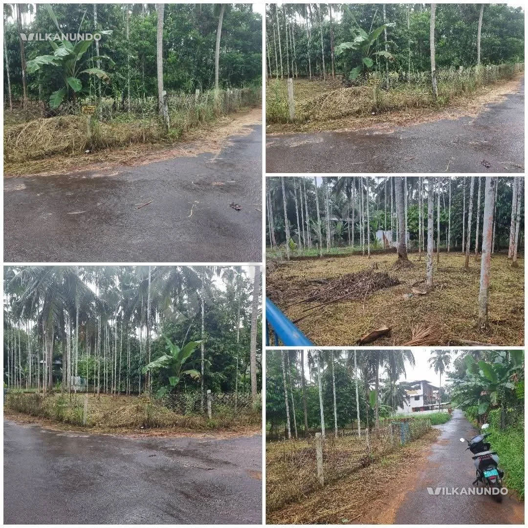 30 cent house plot for sale at eramthodBetween Angadipuram - valamboor