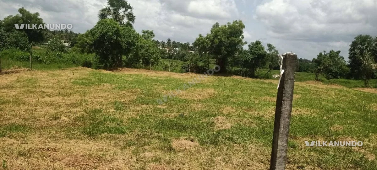 Plot for sale :4 cent plot for sale at chandranagar kootupatha palakkad