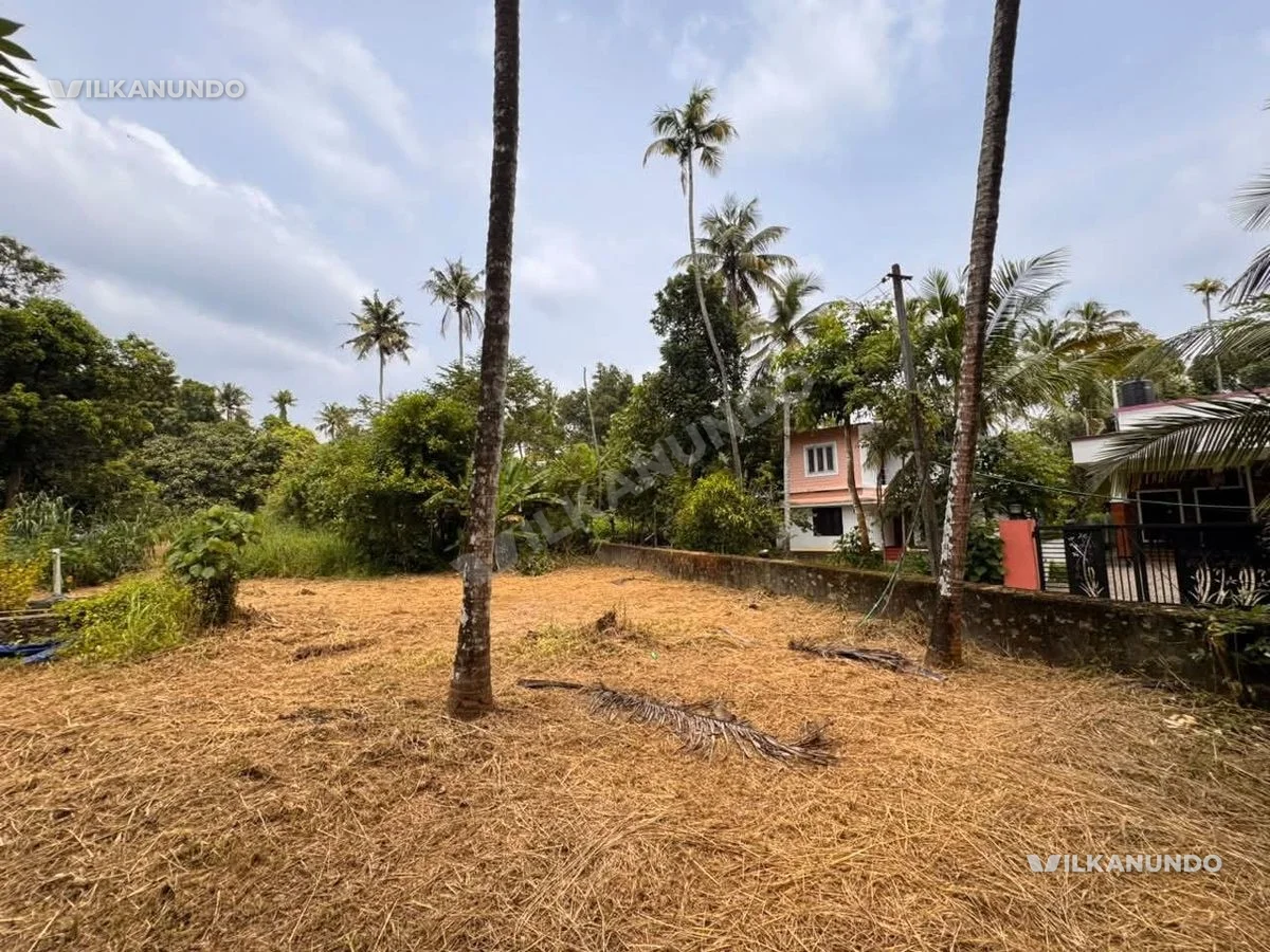 THRISSUR, URAKAM PUDUKKAD MAIN ROADNEAR BY KADALASSERY CENTRE land for sale