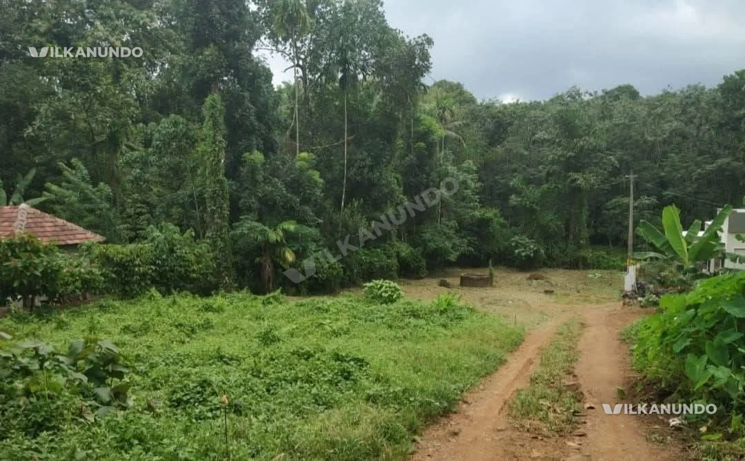 പത്തനംതിട്ട ജില്ലറാന്നി കണ്ടംപേരൂർ4.5 സെന്റ് സ്ഥലം