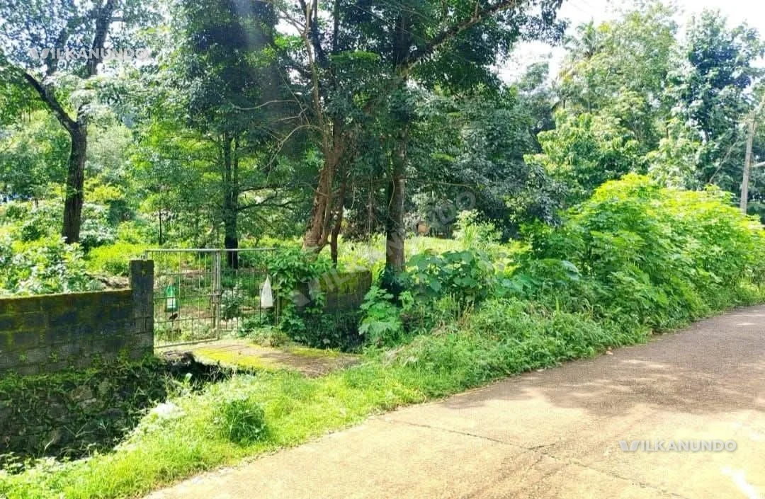 പത്തനംതിട്ട ജില്ല വെട്ടിപ്പുറoസ്ഥലം 25 സെന്റ്വില സെന്റിന് 4 ലക്ഷം