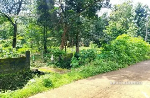 പത്തനംതിട്ട ജില്ല വെട്ടിപ്പുറoസ്ഥലം 25 സെന്റ്വില സെന്റിന് 4 ലക്ഷം