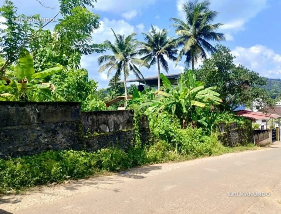 പത്തനംതിട്ട ജില്ലമൈലപ്ര സ്കൂളിന് സമീപംസ്ഥലം 17 സെന്റ് വിൽപനക്ക്