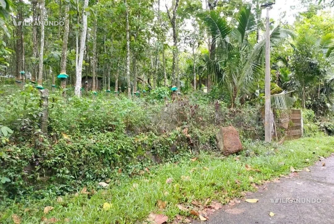 പത്തനംതിട്ട ജില്ല വടശ്ശേരിക്കര കുമ്പളാംപൊയ്ക മുണ്ടയ്ക്കൽറബർ തോട്ടം വിൽപനക്ക്