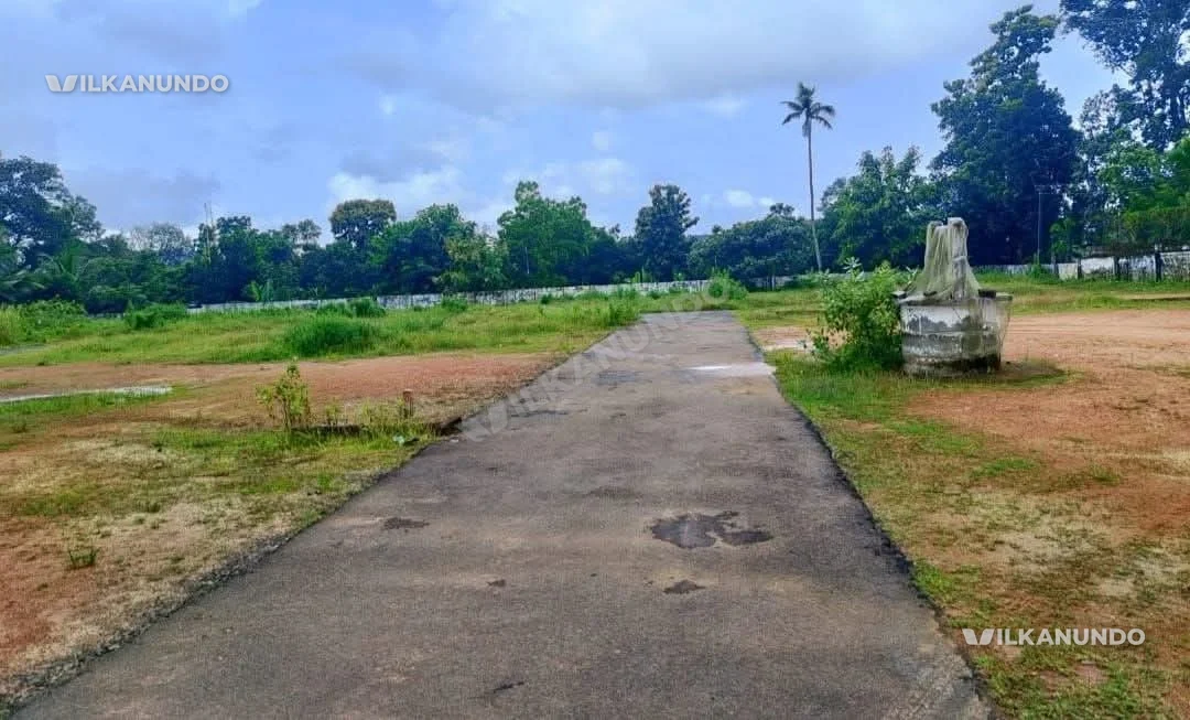 പത്തനംതിട്ട ജില്ല റാന്നിപുനലൂർ മൂവാറ്റുപുഴ ഹൈവേയിൽ നിന്ന് 500 മീറ്റർ മാറി പ്ലോട്ടുകൾ വിൽപ്പനയ്ക്ക്.