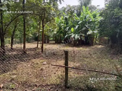 ഒറ്റപ്പാലം വരോട് സെന്റർ നിന്നും 200 mtr മാറി ബസ് റൂട്ടിൽ നിന്നും 50 mtr മാത്രം 14 സെന്റ് പറമ്പ് വില്പനക്ക്