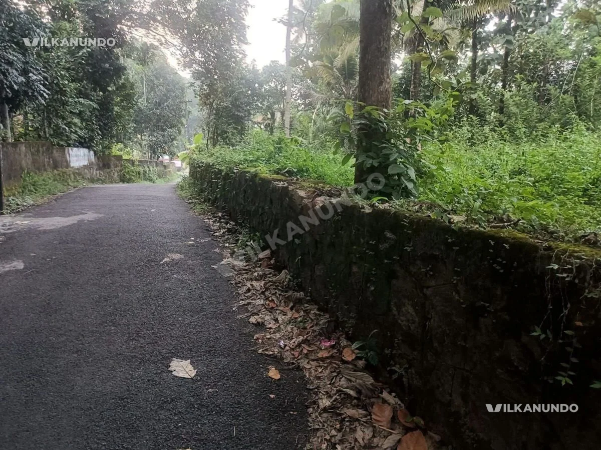 പത്തനംതിട്ട - കൈപ്പട്ടൂർപത്തനംതിട്ട അടൂർ ബസ് റൂട്ടിൽ 15 സെൻ്റ് സ്ക്വയർ സ്ഥലം വിൽപനക്ക്