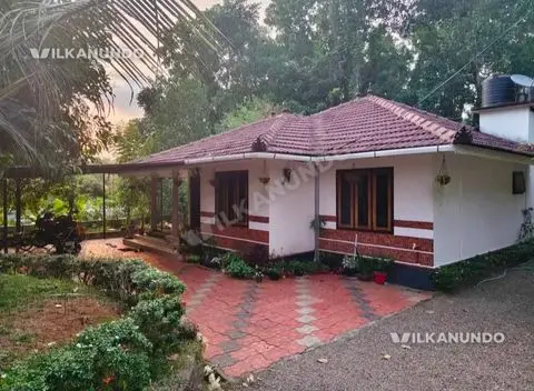 കോട്ടയം പള്ളിക്കത്തോട് പാലാ ബസ് റോഡിൽ നിന്ന് 150 mtr മാറി 13.5 cent 3 bedroom വീട് വില്പനക്ക്