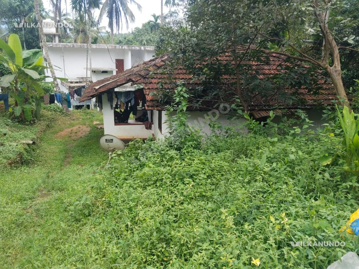കോഴിക്കോട് മുക്കം 8.75 cent സ്ഥലം വിൽപനക്ക്