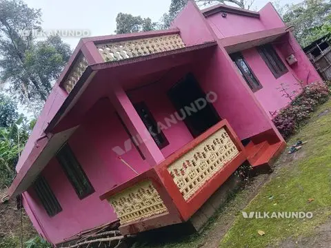 House plot with cardamom plantation