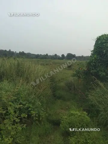 Palakkad kanjikodu 7acr property for sale...