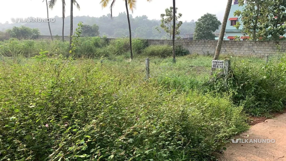 കല്ലമ്പലം-ചേന്നൻകോട്-മുള്ളറംകോട് റോഡിൽ Arqam campas ന് സമീപം ലോറി കയറുന്ന വഴിയോട് കൂടിയ 10 സെന്റ് സ്ഥലം വിൽപ്പനക്ക്.