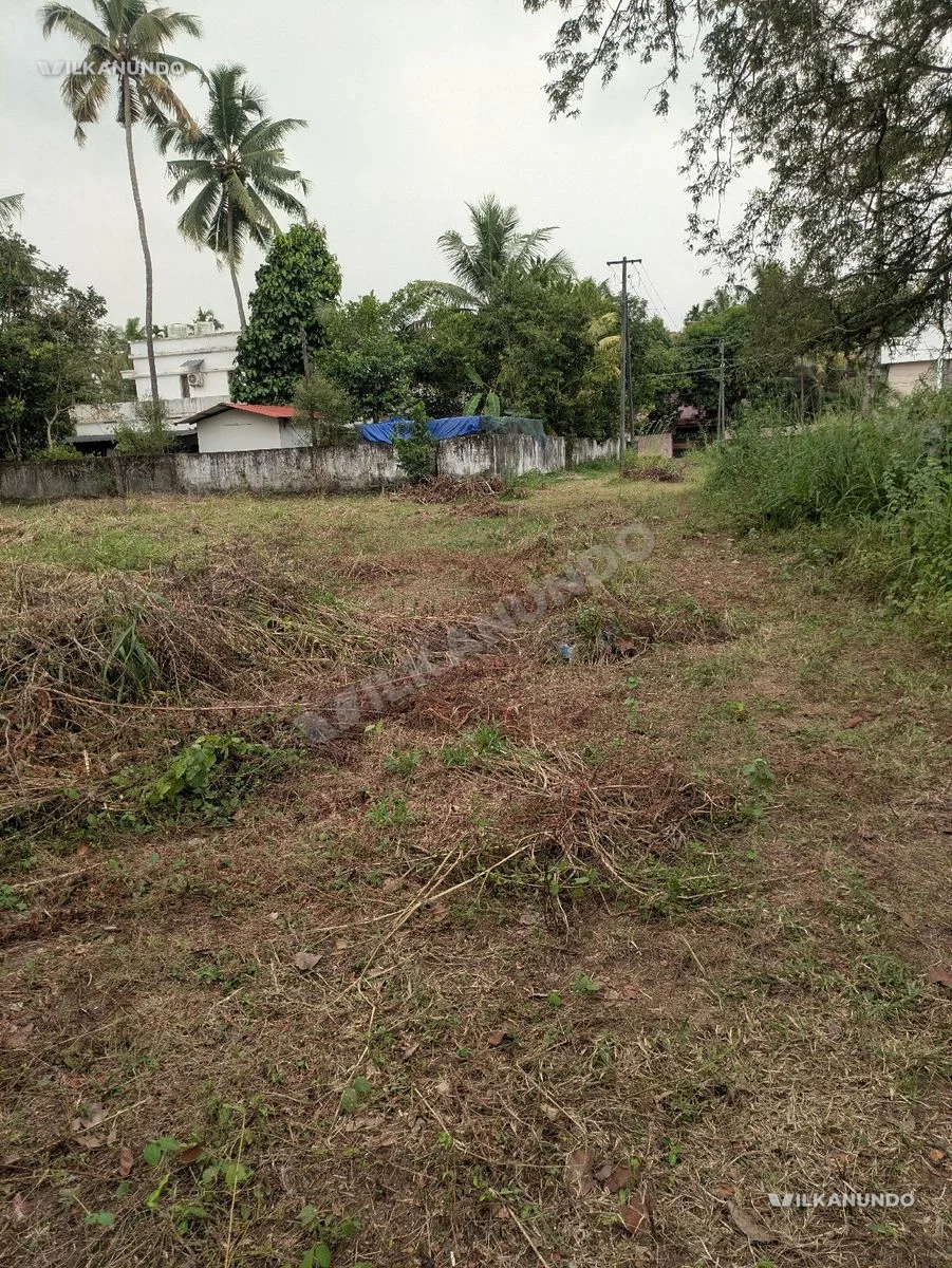 ഹൗസ് പ്ലോട്ടുകൾ വിൽപ്പനക്ക് 7 സെൻ്റ് മുതൽ