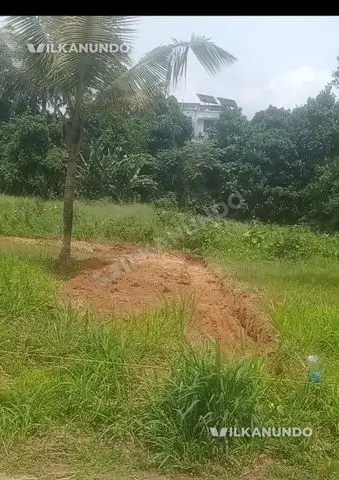 7 Cent Land for Sale in Navodaya Kakkanad