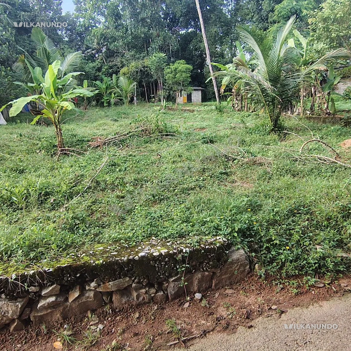 15 സെന്റ് കര ഭൂമി വില്പനക്ക്...തിരുവനന്തപുരം ജില്ലയിൽ ആറ്റിങ്ങൽ, വെഞ്ഞാറമൂട് പോകുന്ന റോഡിൽ,