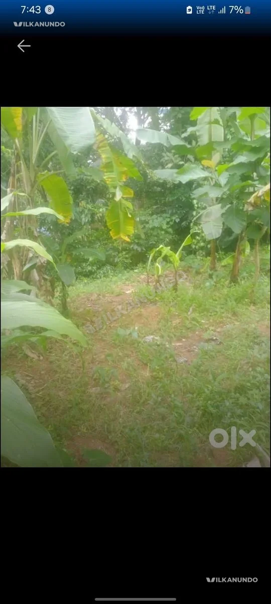 4 Cent സ്ഥലം വില്പ്പനക്ക് - 8.50 ലക്ഷം / സെന്റ്-- കാക്കനാട് എറണാകുളം