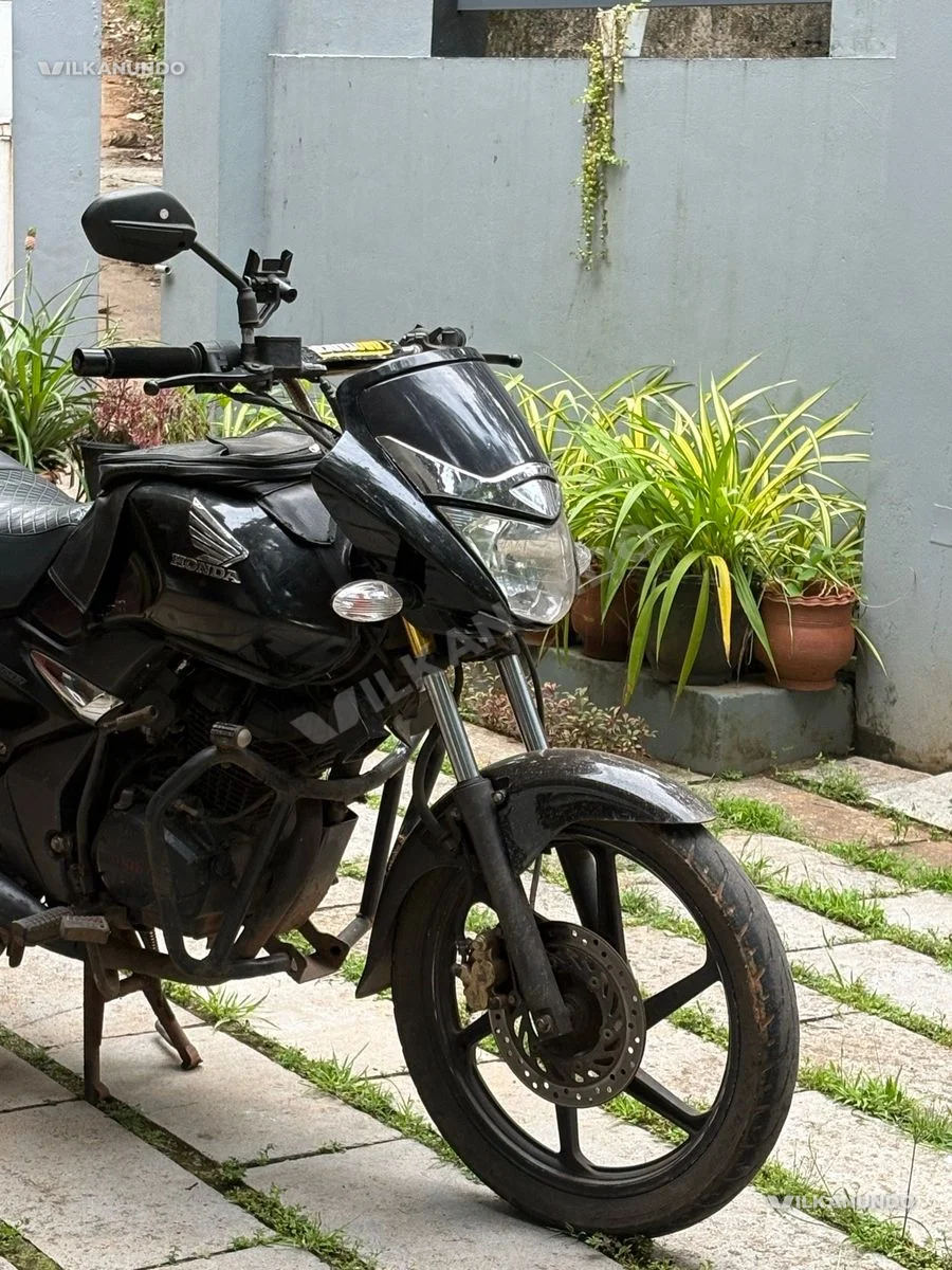 unicorn 150