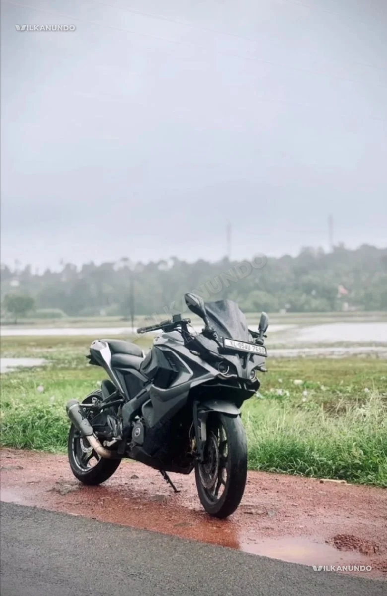 2019 model