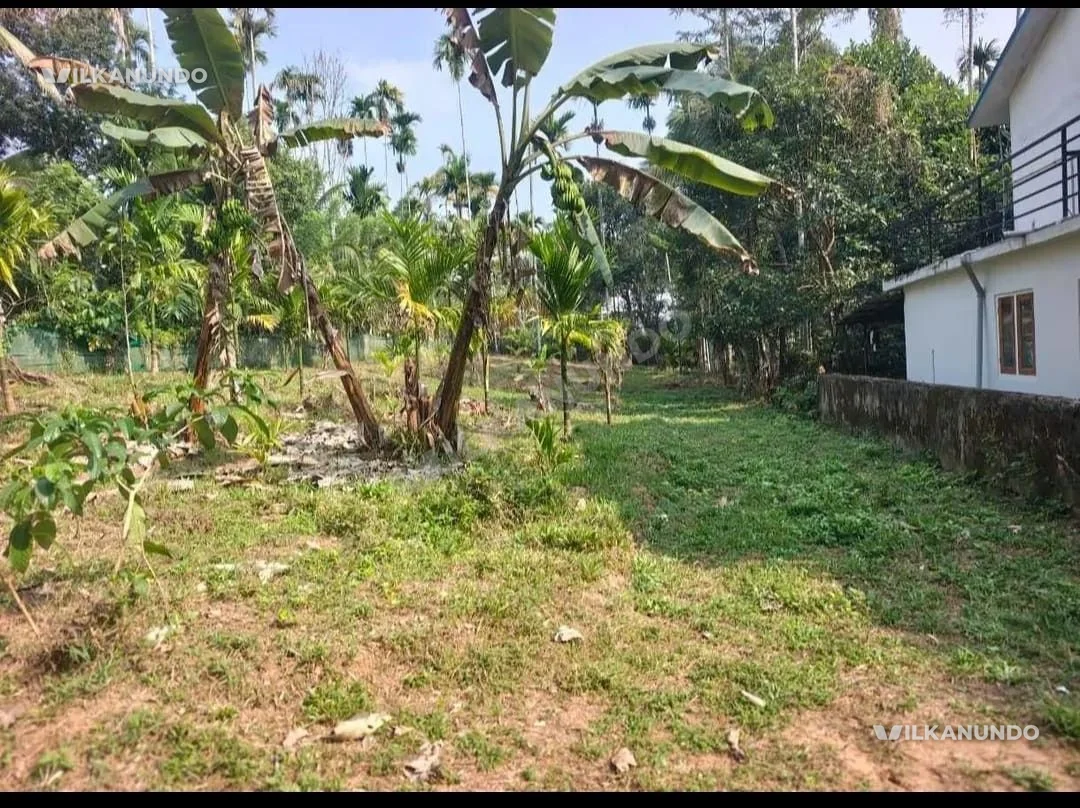 HOUSE PLOT FOR SALE – SULTHAN BATHERI*Location:* ARMADUKUNNU 📐 **Plot Area: 20 Cent
