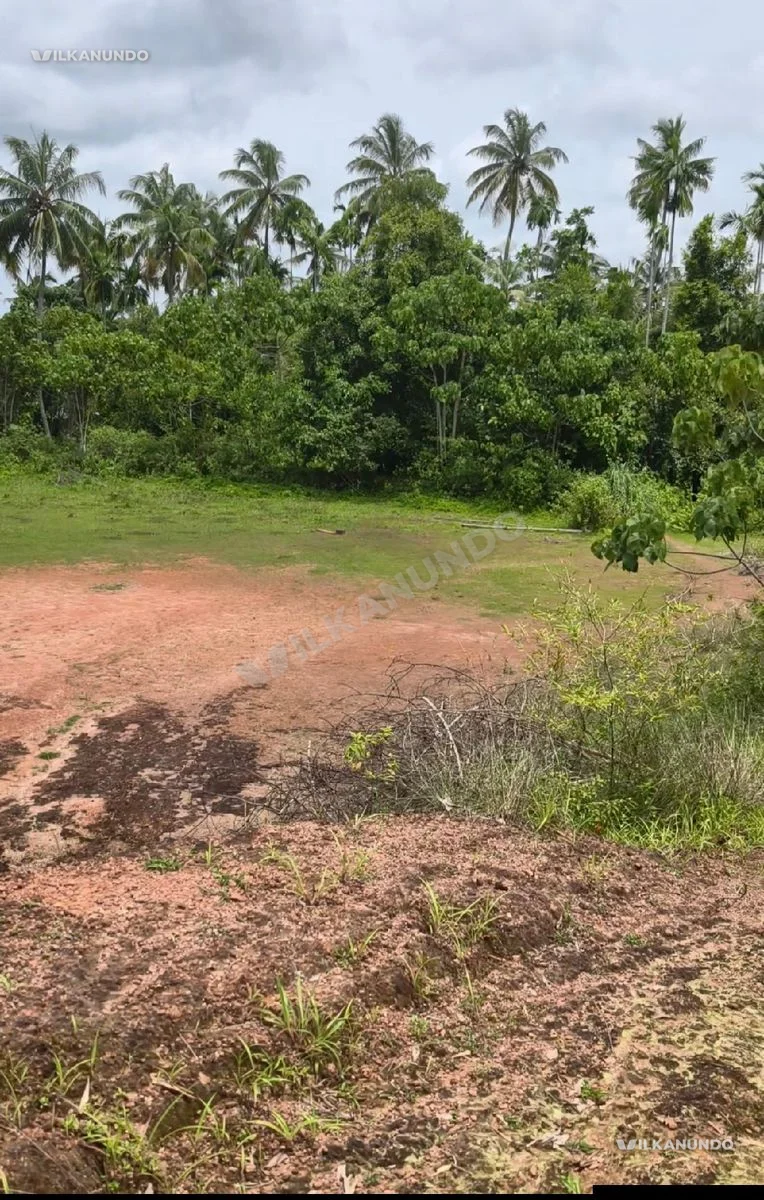 Plot for sale