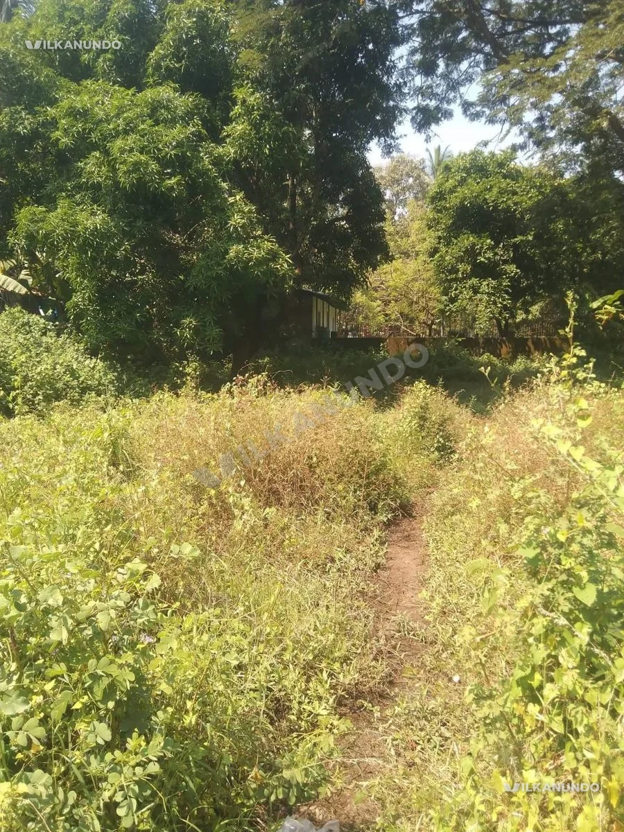 Palakkad kudumbu 10cent plot for sale