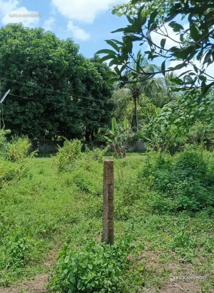 ത്രിശൂർ പള്ളിമൂല വിമല കോളേജിനടുത്തു 14 സെന്റ് പ്ലോട്ട് വില്പനക്ക്.