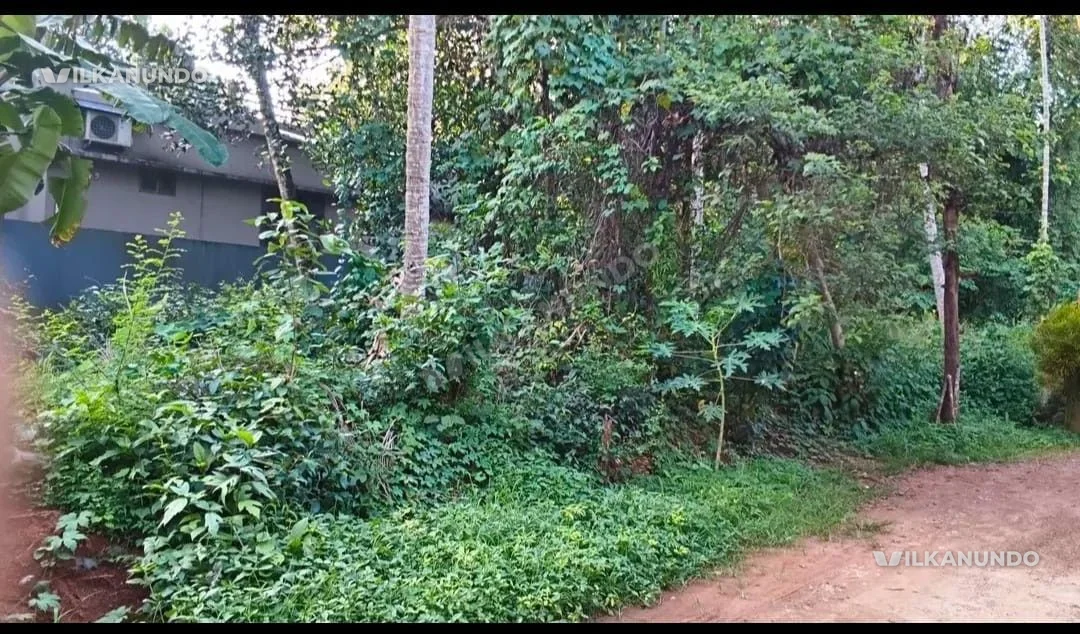 10 Cents Land For Sale At Calicut Vellimadukunnu..