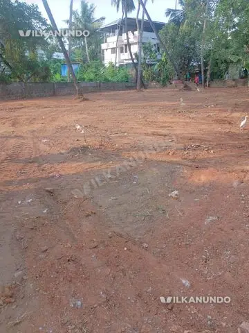 20 Cents of Land for Sale Near Kerala Varma College, Thrissur – Immediate Sale