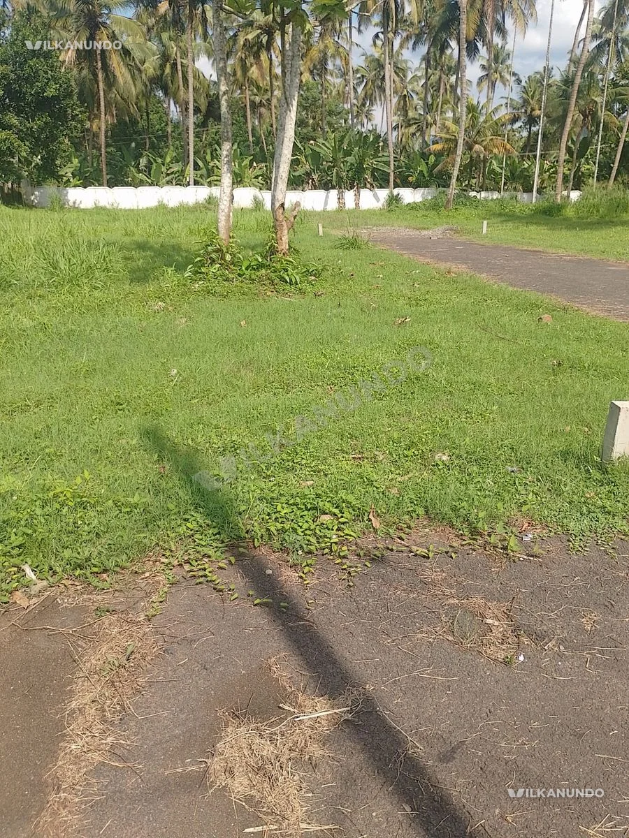 MANNUTHY – MUDIKKODE, HIGHWAY, THRISSUR | PLOTS FOR SALE