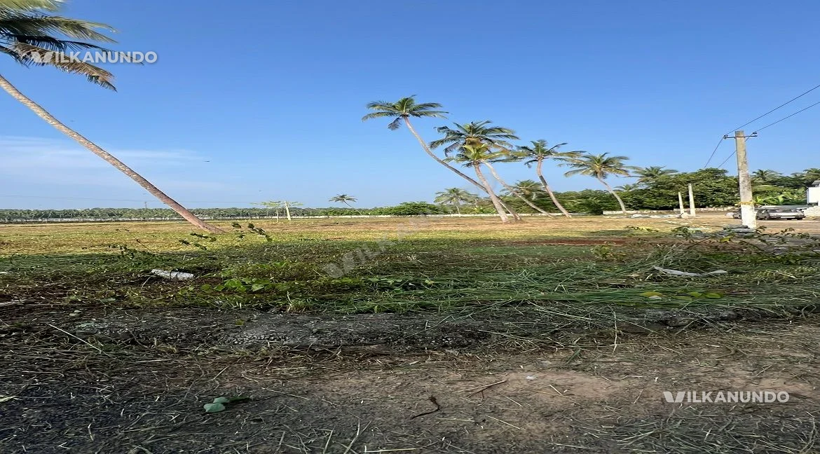 Residential plots in 5 ,10, 20 cents for sale in mundur, Thrissur