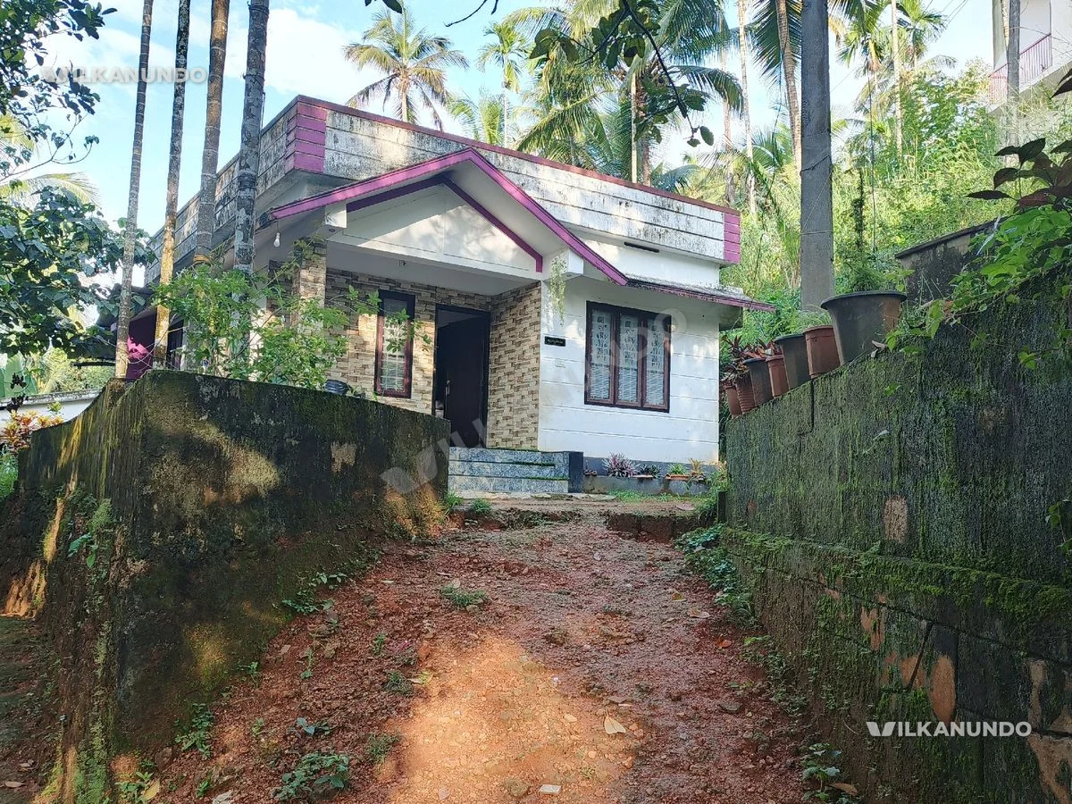 ബാലുശ്ശേരി കോക്കല്ലൂരിൽ സ്ഥലം വിൽപ്പനയ്ക്ക്