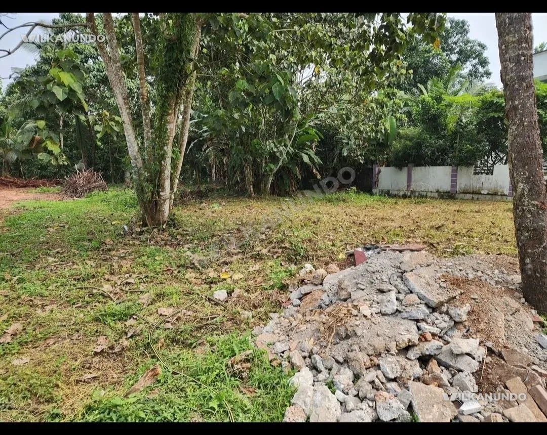 Ernakulam district, Kolenchery.20 Cent house plot for Sale.