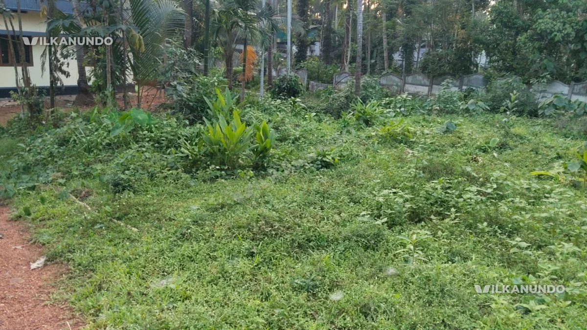 38.5 cent land for sale near kmct mukkam calicut..