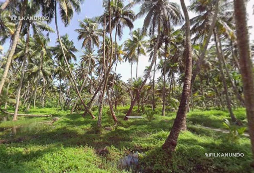 Residential Land for sale
