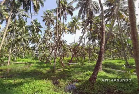 Residential Land for sale