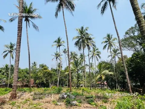 Commercial Land for sale